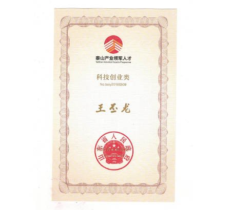 喜報(bào) | 青島佳恩半導(dǎo)體總經(jīng)理王丕龍榮獲“泰山產(chǎn)業(yè)領(lǐng)軍人才”稱號(hào)